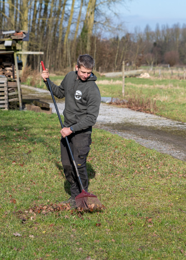 Afbeelding zonder beschrijving